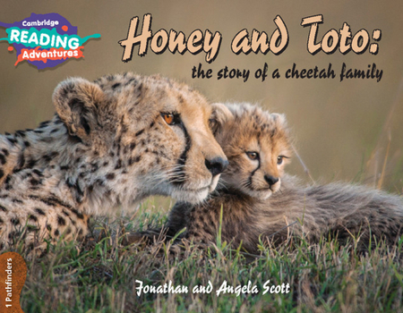 Paperback Cambridge Reading Adventures Honey and Toto: The Story of a Cheetah Family 1 Pathfinders Book