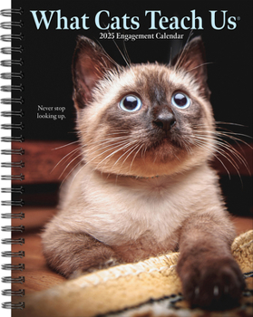 Calendar What Cats Teach Us 2025 6.5 X 8.5 Engagement Calendar Book
