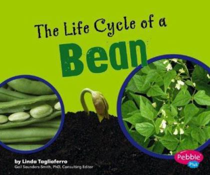 Hardcover The Life Cycle of a Bean Book