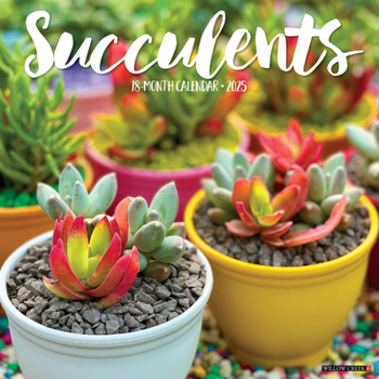 Calendar Succulents 2025 12 X 12 Wall Calendar Book