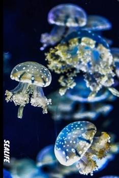Paperback Sea Life: 6x9 120 page lined paperback notebook exercise book - beautiful Jellyfish, underwater, ocean notebook for school or cr Book