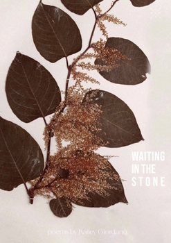 Paperback Waiting in the Stone Book