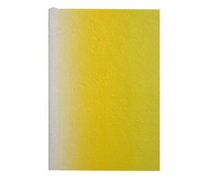 Hardcover Christian LaCroix Neon Yellow A5 6" X 8" Ombre Paseo Notebook Book