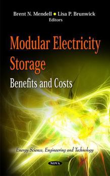 Hardcover Modular Electricity Storage: Benefits and Costs (Energy Science, Engineering and Technology) Book