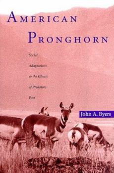 Paperback American Pronghorn: Social Adaptations and the Ghosts of Predators Past Book