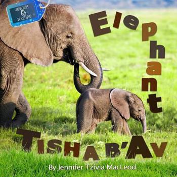 Paperback Elephant Tisha b'Av Book