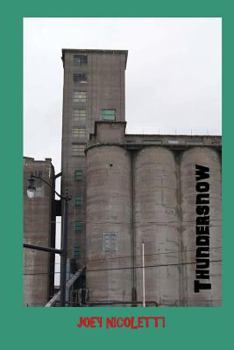 Paperback Thundersnow Book