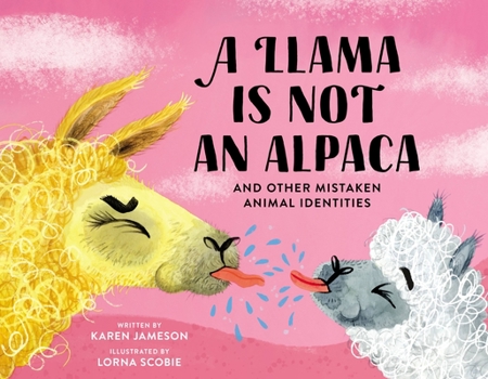 Hardcover A Llama Is Not an Alpaca: And Other Mistaken Animal Identities Book