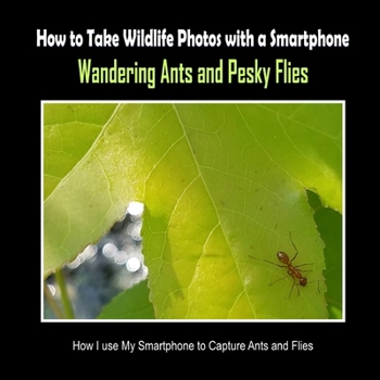 Wandering Ants and Pesky Flies: How I Use My Smartphone to Capture Ants and Flies (How to Take Wildlife Photos with a Smartphone)