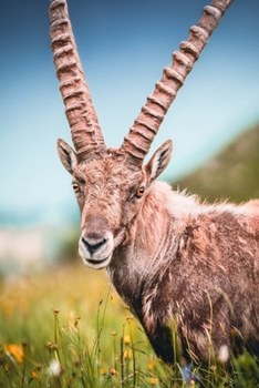 Tyrol notebook - achieve your goals, perfect 120 lined pages #1 (Tyrol Notebooks)