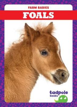 Foals - Book  of the Farm Babies