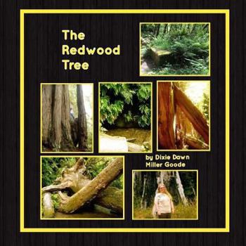 Paperback The Redwood Tree Book