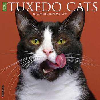 Calendar Just Tuxedo Cats 2025 12 X 12 Wall Calendar Book