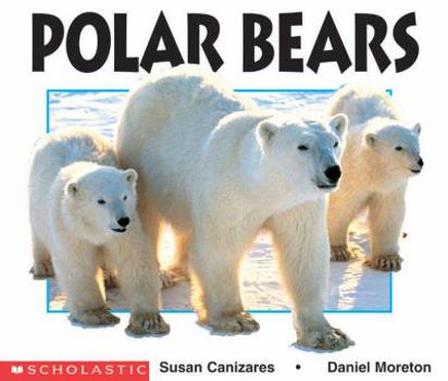 Paperback Polar Bears Book