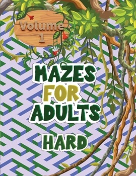 Mazes for adults: These volume 1 mazes give you hours of fun, stress relief and relaxation!