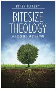 Paperback Bitesize Theology (Revised 2014) Book