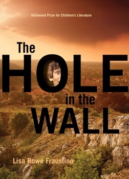 Hardcover The Hole in the Wall Book