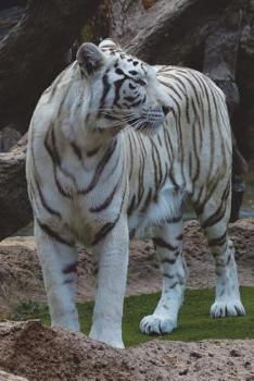 The White Bengal Tiger Journal: 150 page lined notebook/diary