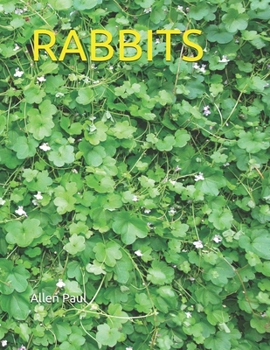 Paperback Rabbits Book