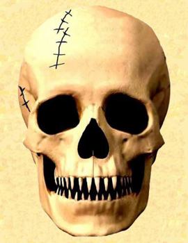 Jack's World the Land of Skull and Bones