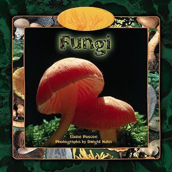 Paperback Fungi Book