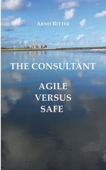 Paperback The Consultant: Agile versus Safe [German] Book