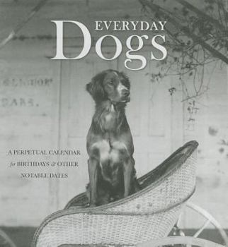 Hardcover Everyday Dogs: A Perpetual Calendar for Birthdays and Other Notable Dates Book