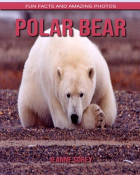 Polar bear: Fun Facts and Amazing Photos