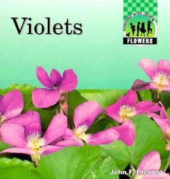 Violets - Book  of the Flowers