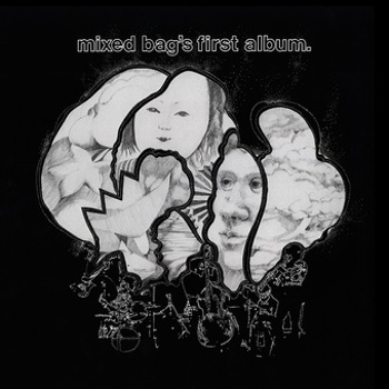 Vinyl Mixed Bag S First Album (Lita Exclusive) Book