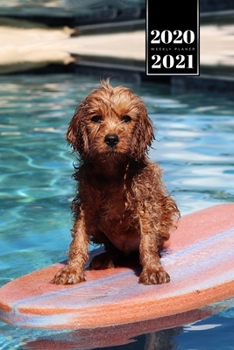 Poodle Dog Calendar Week Planner 2020 / 2021 - Little Surfer: Pup Puppy Doggie Pet Owner Weekly Bullet Journal Notebook Diary in 6” x 9” Inch Pocket Size