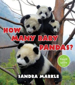 Paperback How Many Baby Pandas? Book