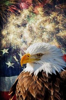 Paperback American Bald Eagle USA Flag 4th of July Fireworks Independence Day Journal Notebook: 120 College Ruled Lined Pages (60 Sheets) Size 6 X 9 Book