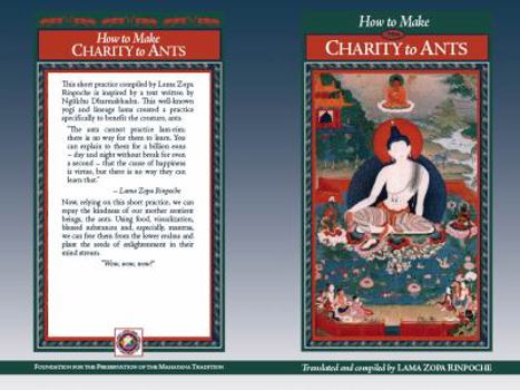 Paperback Charity to Ants Book