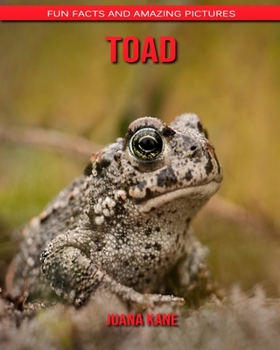 Toad: Fun Facts and Amazing Pictures