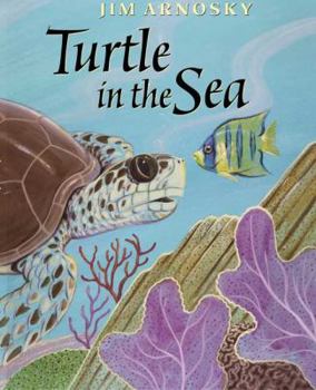 Hardcover Turtle in the Sea Book