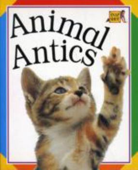 Paperback Animal Antics (Snapshot Pre-school Paperbacks) Book