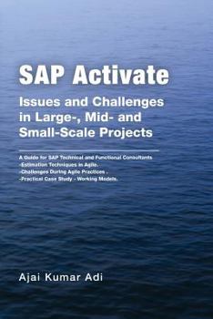 Paperback SAP Activate: Issues and Challenges in Large-, Mid- and Small-Scale Projects: A Guide for SAP Technical and Functional Consultants Book