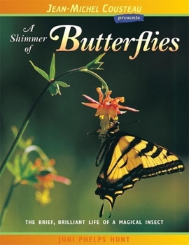 Paperback A Shimmer of Butterflies: The Brief, Brilliant Life of a Magical Insect Book