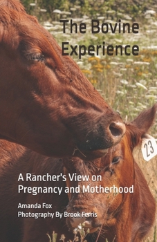 Paperback The Bovine Experience: A Rancher's View on Pregnancy and Motherhood Book