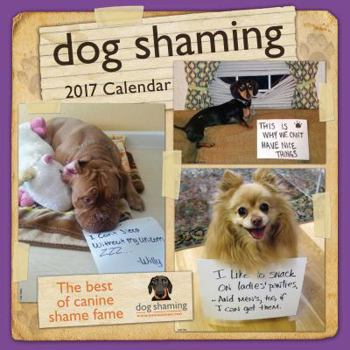 Calendar Dog Shaming Book