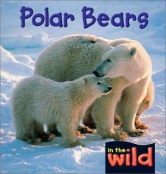 Hardcover Polar Bears Book