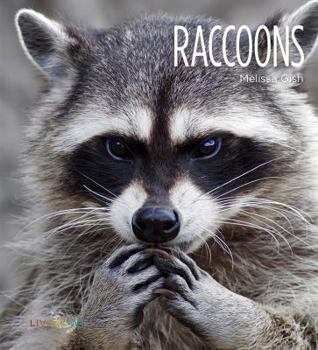 Raccoons - Book  of the Living Wild