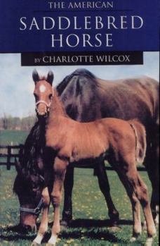 Hardcover The American Saddlebred Horse Book