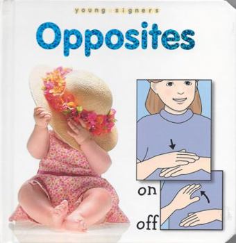 Board book Opposites Board Book