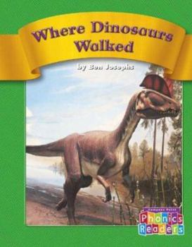 Library Binding Where Dinosaurs Walked Book