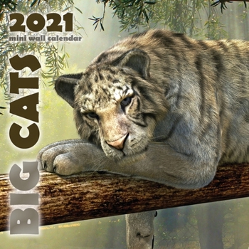 Paperback Big Cats 2021 Mini Wall Calendar Book