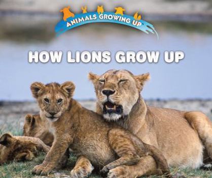 Library Binding How Lions Grow Up Book