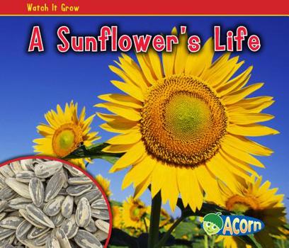 Sunflower - Book  of the Watch it Grow
