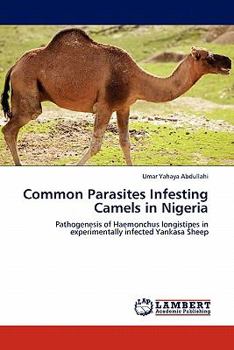 Paperback Common Parasites Infesting Camels in Nigeria Book